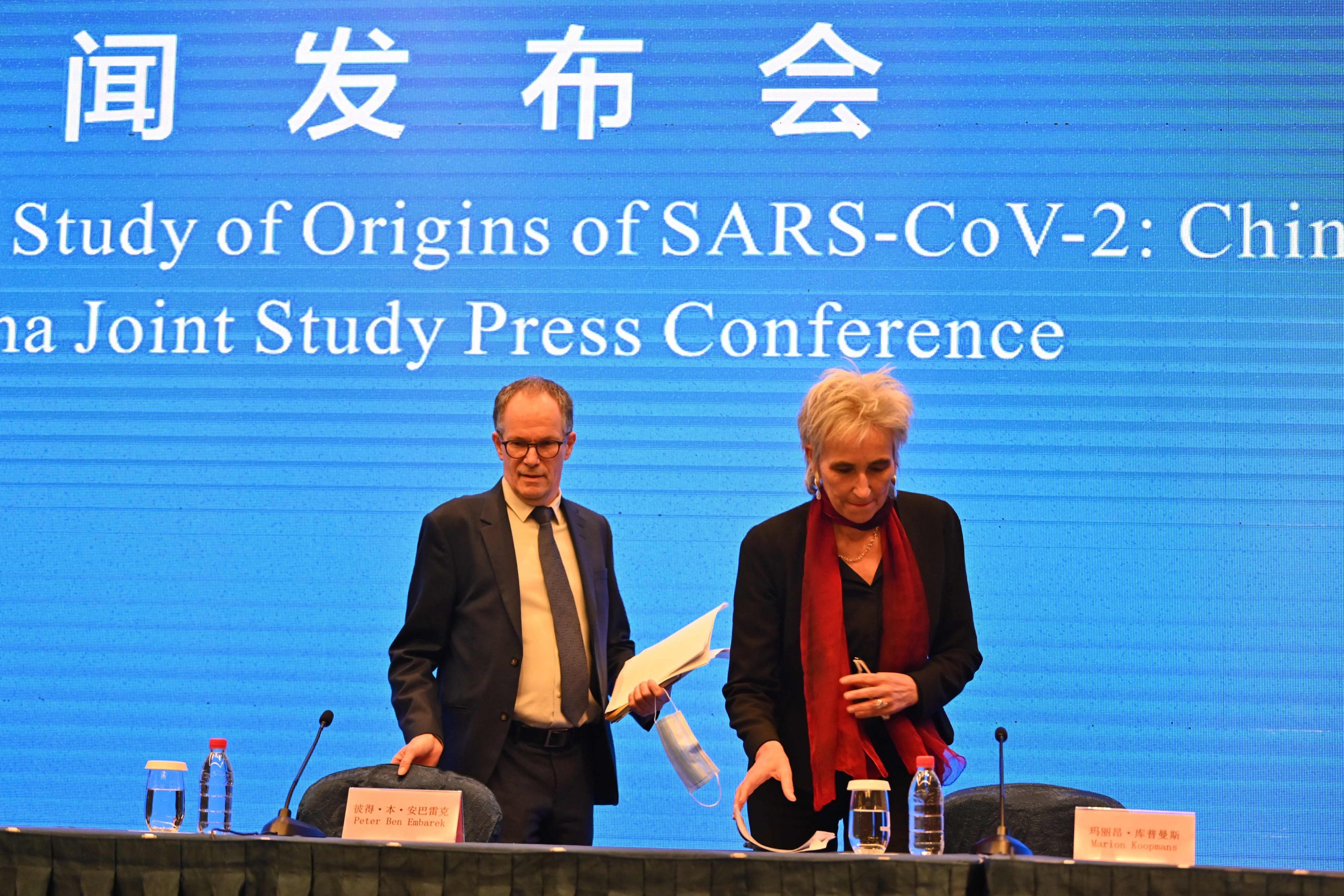 WHO outlines Wuhan findings on origins of Covid pandemic