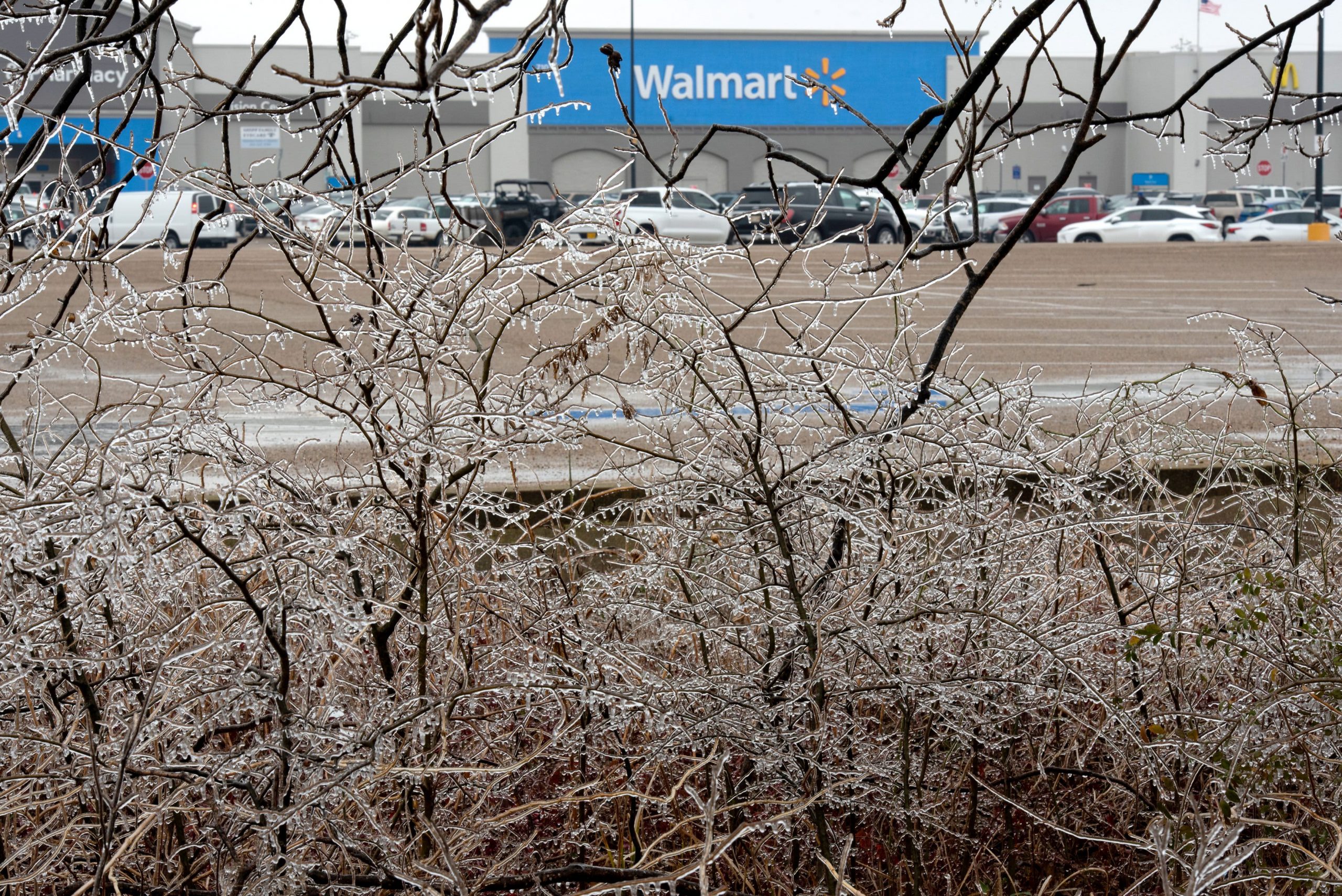 Winter storm shutters tons of of Walmart shops, Amazon hubs