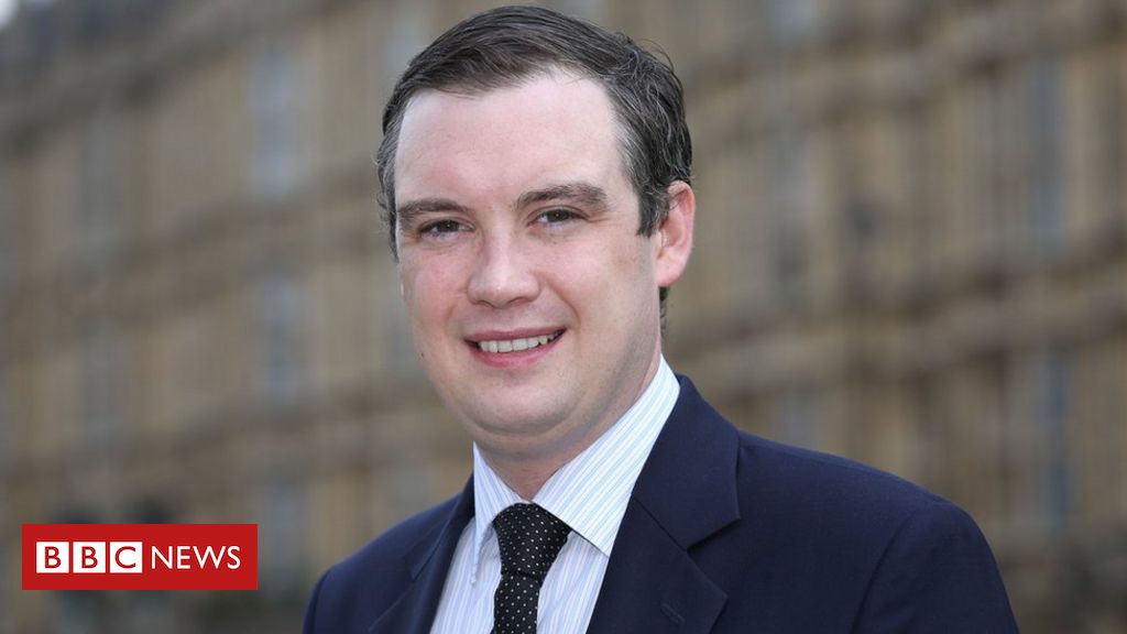 Impartial scholar watchdog might hold Tory whip