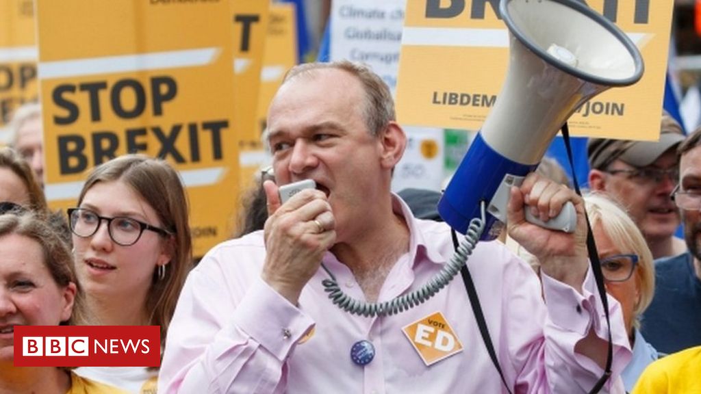 Lib Dems; Uneasy occasion ponders lengthy street again to EU