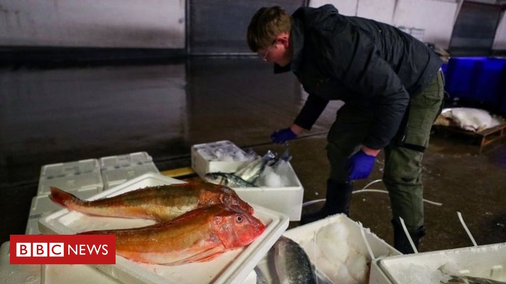 Submit-Brexit commerce: Boris Johnson requires eat British fish marketing campaign