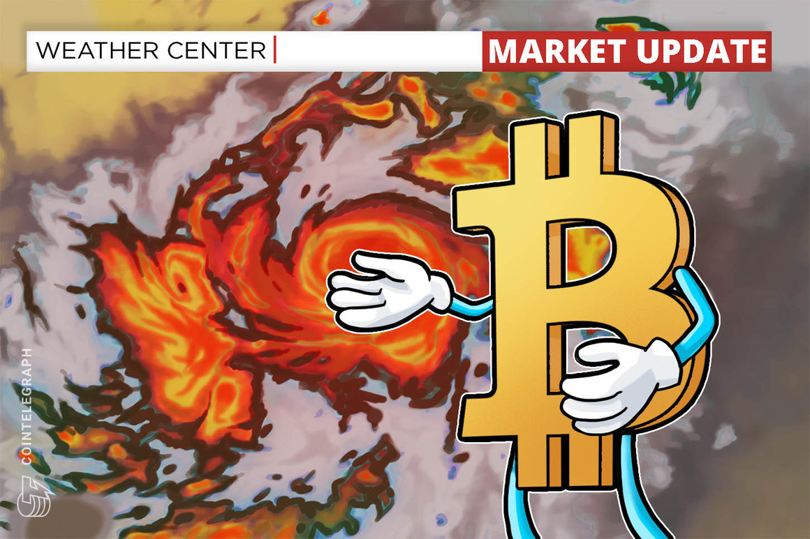 Bitcoin prints greatest hourly candle in historical past after BTC rebounds strongly to $54Okay