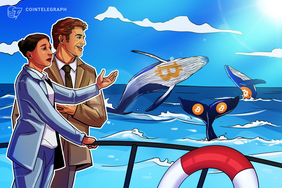 Establishments and miners accumulating by Bitcoin chop; whales unsure