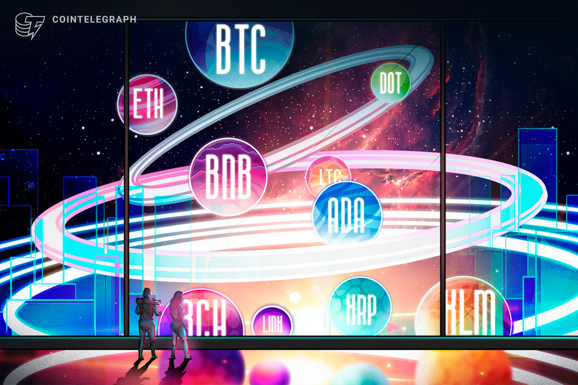 Value evaluation 2/19: BTC, ETH, BNB, DOT, ADA, XRP, LTC, LINK, BCH, XLM