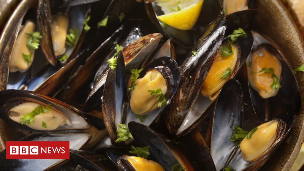 Welsh shellfish producers concern over block on EU exports