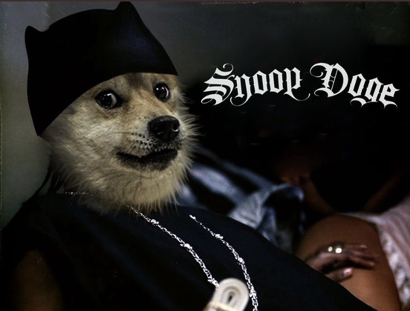 Dogecoin Rises Extra Than 36% After Snoop Dogg Turns into Snoop DOGE