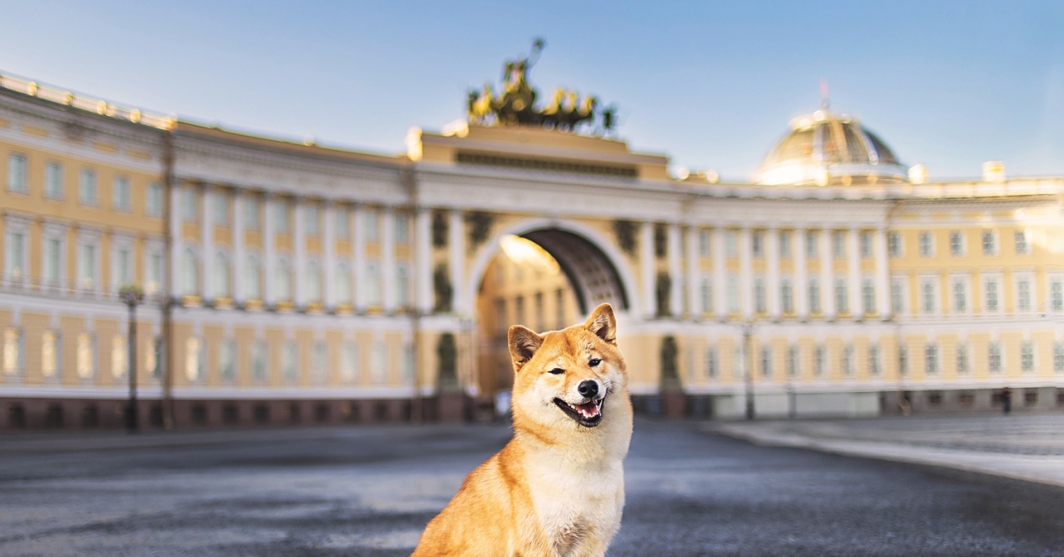 What Does Dogecoin Should Do With Authorities Crypto Bans?