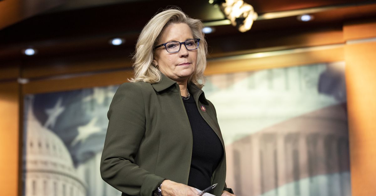 Liz Cheney asks Fox Information viewers to reject Trump after being censured by her state celebration