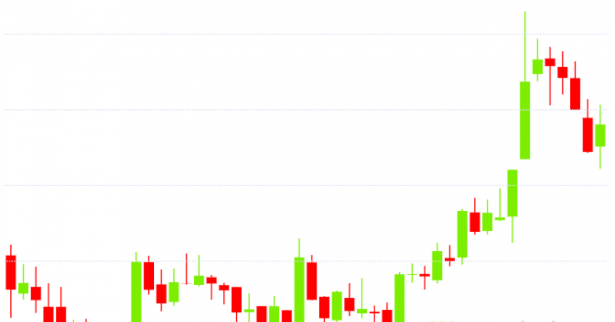 Bullish Bitcoin Fundamentals Level to Renewed Worth Rally Forward