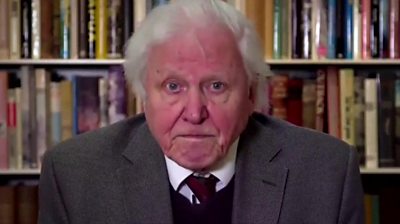 Attenborough offers stark warning on local weather change to UN