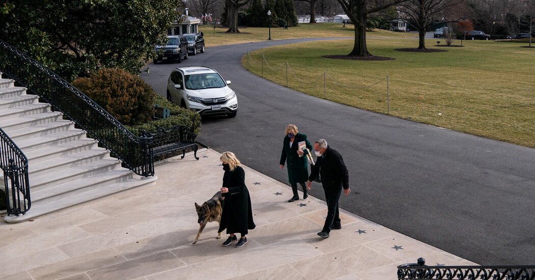 Biden’s Canines Moved After a ‘Biting Incident’
