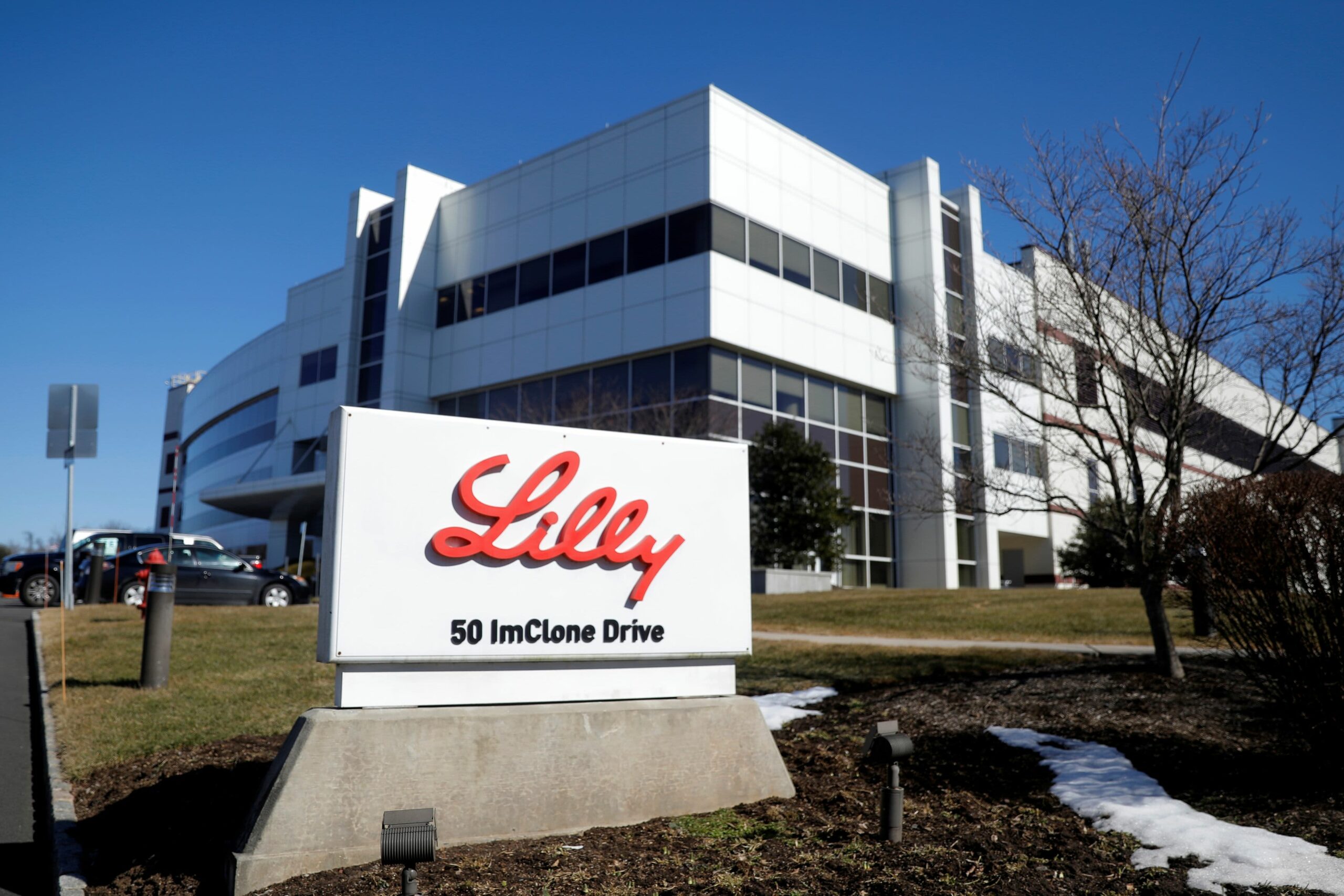 Eli Lilly, AMC, Delta Air Strains and extra