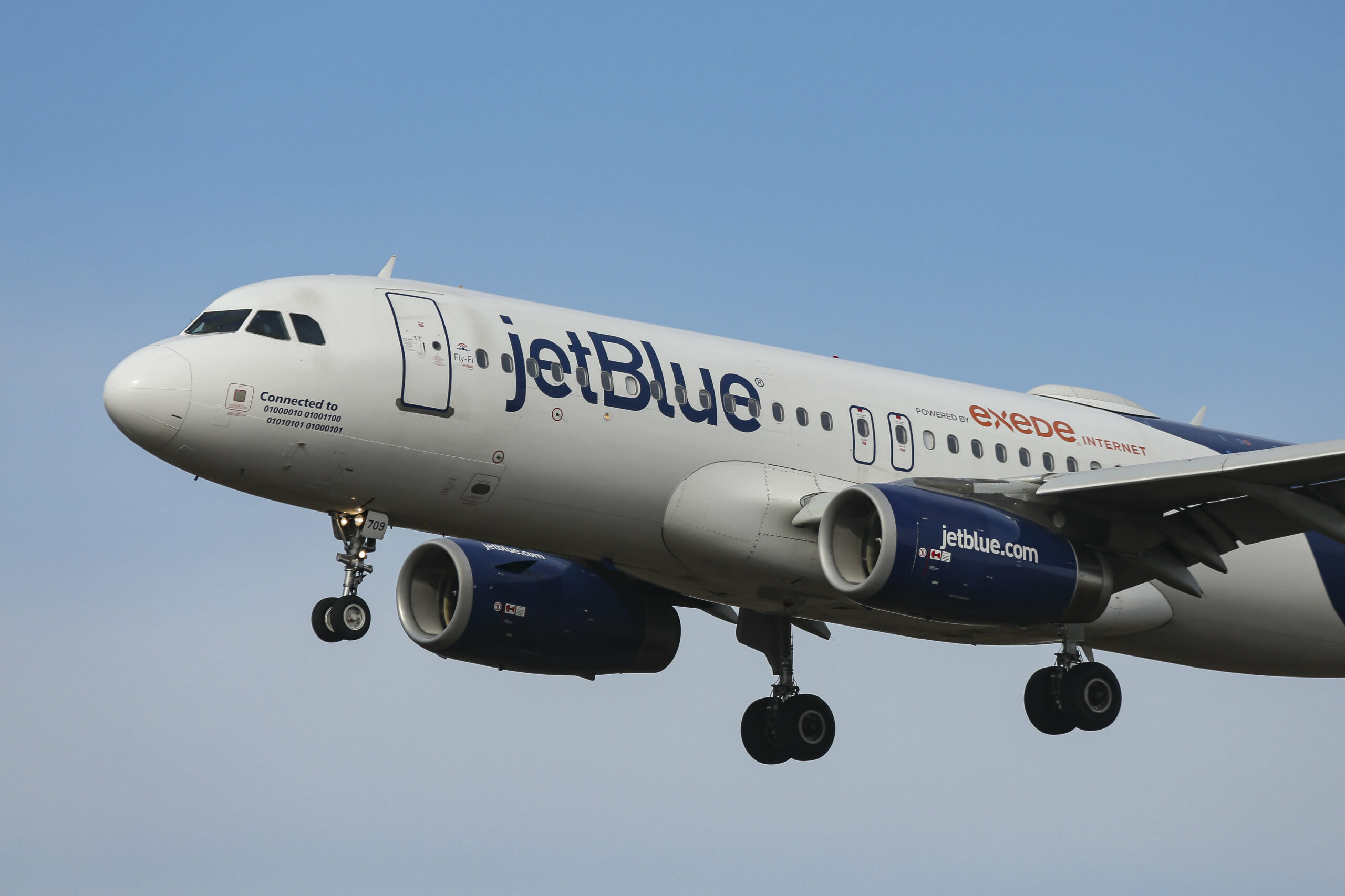JetBlue is looking flight attendants again to work to deal with enhance in journey demand