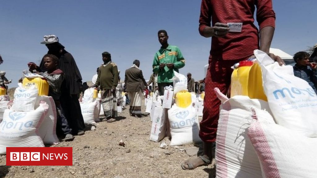 Yemen battle: UK cuts support citing monetary stress from Covid