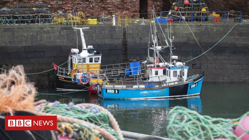 Fishing corporations might go bust over Brexit, MPs informed