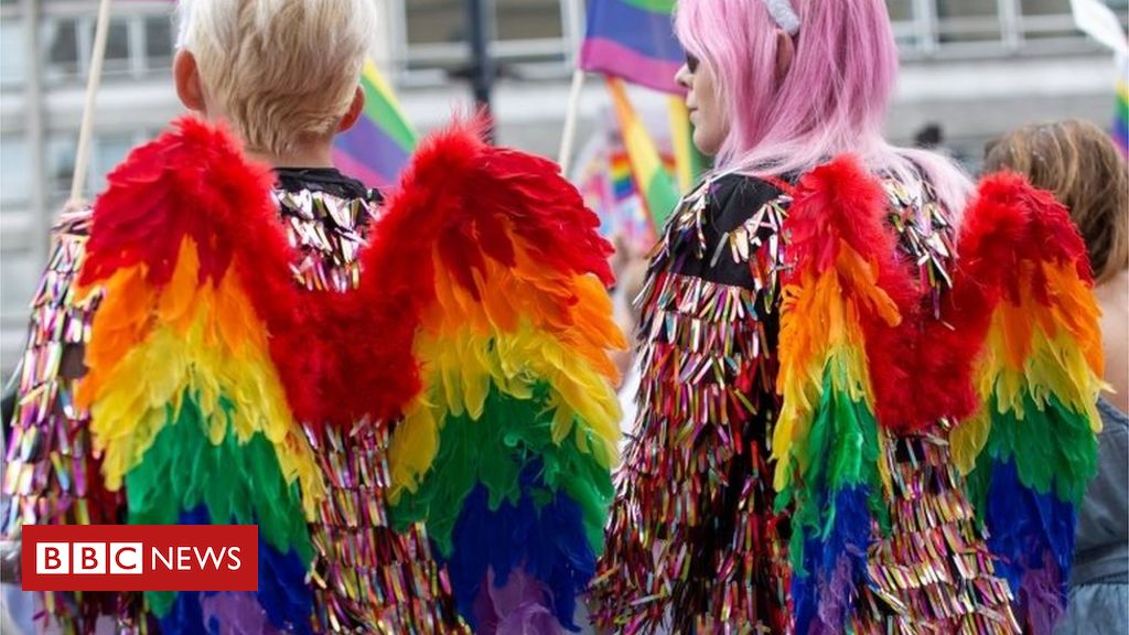 Non secular group warns towards LGBT+ conversion remedy ban