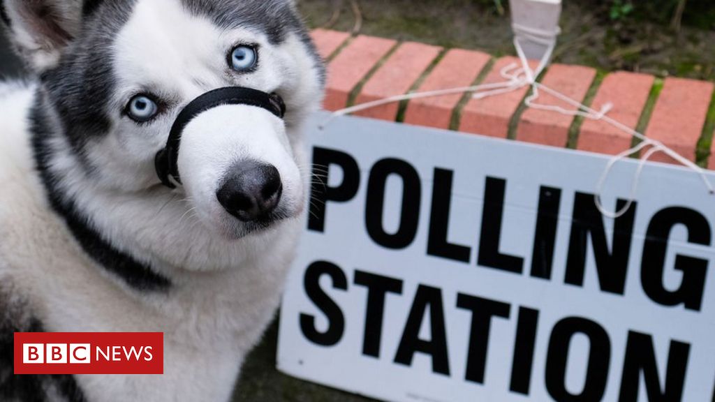 2021 elections: A very easy information