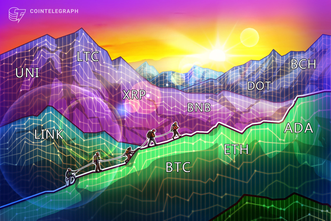 Value evaluation 3/5: BTC, ETH, ADA, BNB, DOT, XRP, UNI, LTC, LINK, BCH