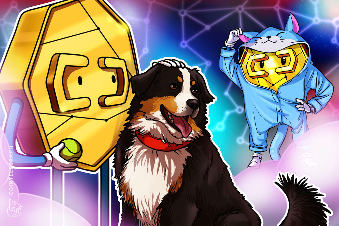 Bitcoiners love canine, gold bugs desire cats — Vital new analysis