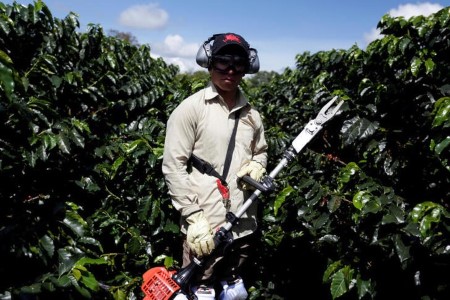 Heavy rains, COVID-19 problem Colombian espresso growers -federation