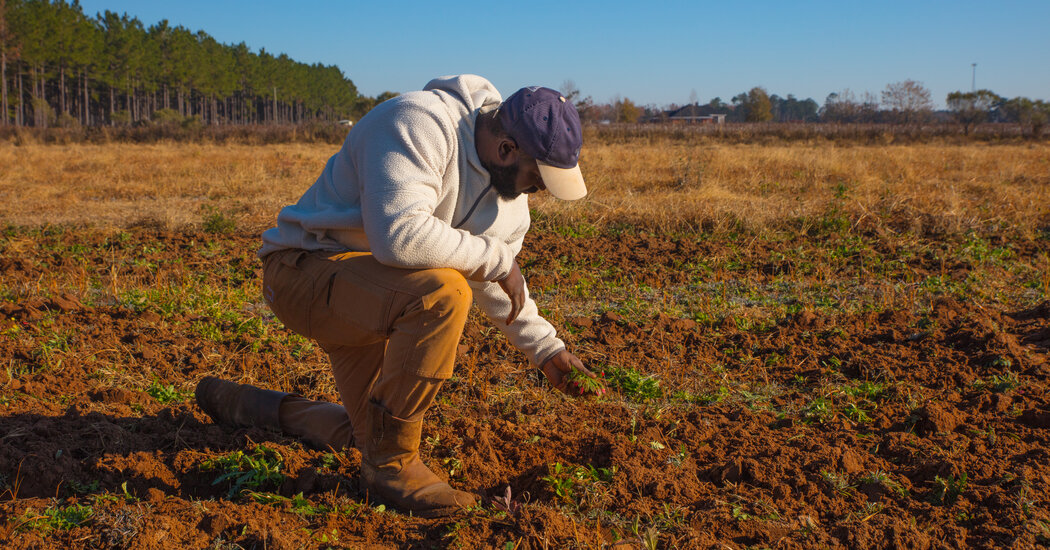 Biden Administration Ramps Up Debt Aid Program to Assist Black Farmers
