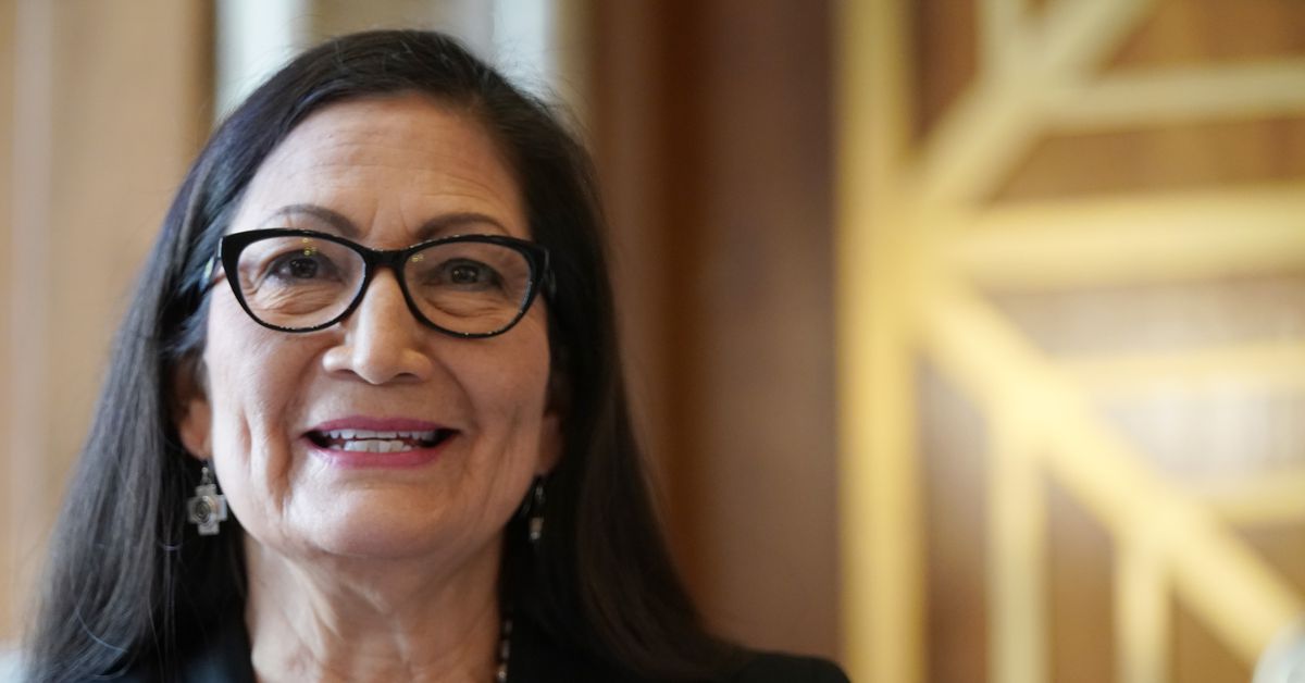 Deb Haaland confirmed as the primary Native American to guide the Division of the Inside