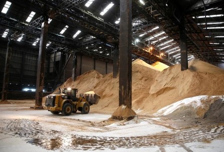 SOFTS-Uncooked sugar falls as market consolidates after one-month peak