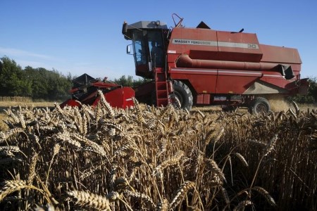 Germany’s 2021 wheat and rapeseed harvest seen up on yr