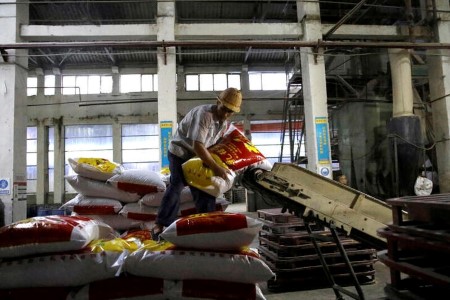 China points pointers on reducing corn, soymeal in pig, poultry feed