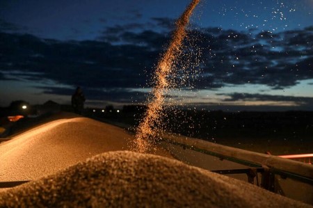 IKAR consultancy lowers Russia 2021 wheat crop forecast