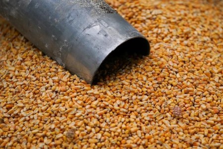 GRAINS-Corn drops 3% as merchants exit after costs hit close to 8-year prime