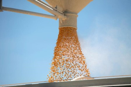 GRAINS-Corn blended on continued liquidation, tight provide