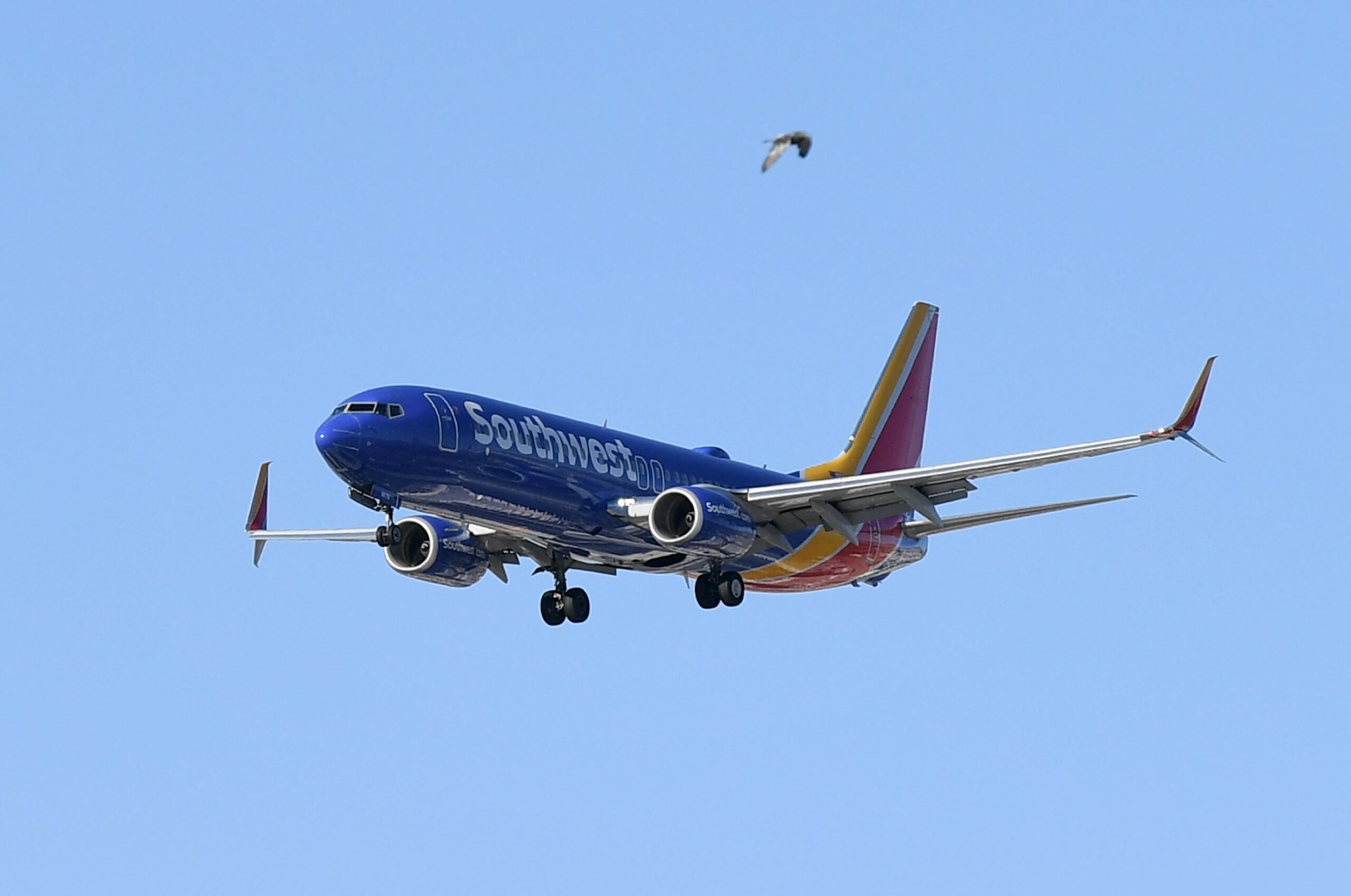 Southwest pauses plan to renew alcohol gross sales after flight attendant assault