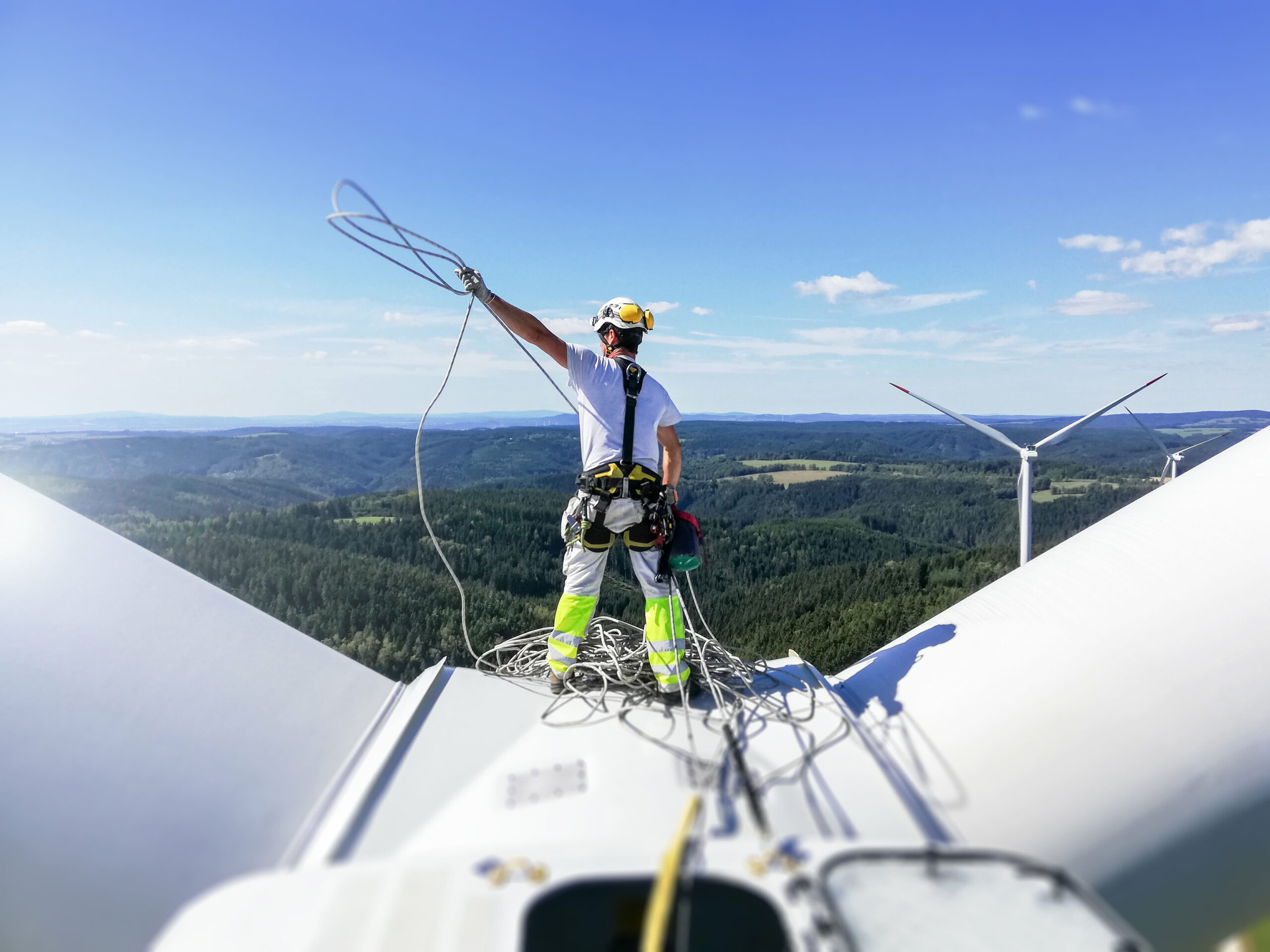 Wind vitality might generate 3.Three million jobs inside 5 years: GWEC