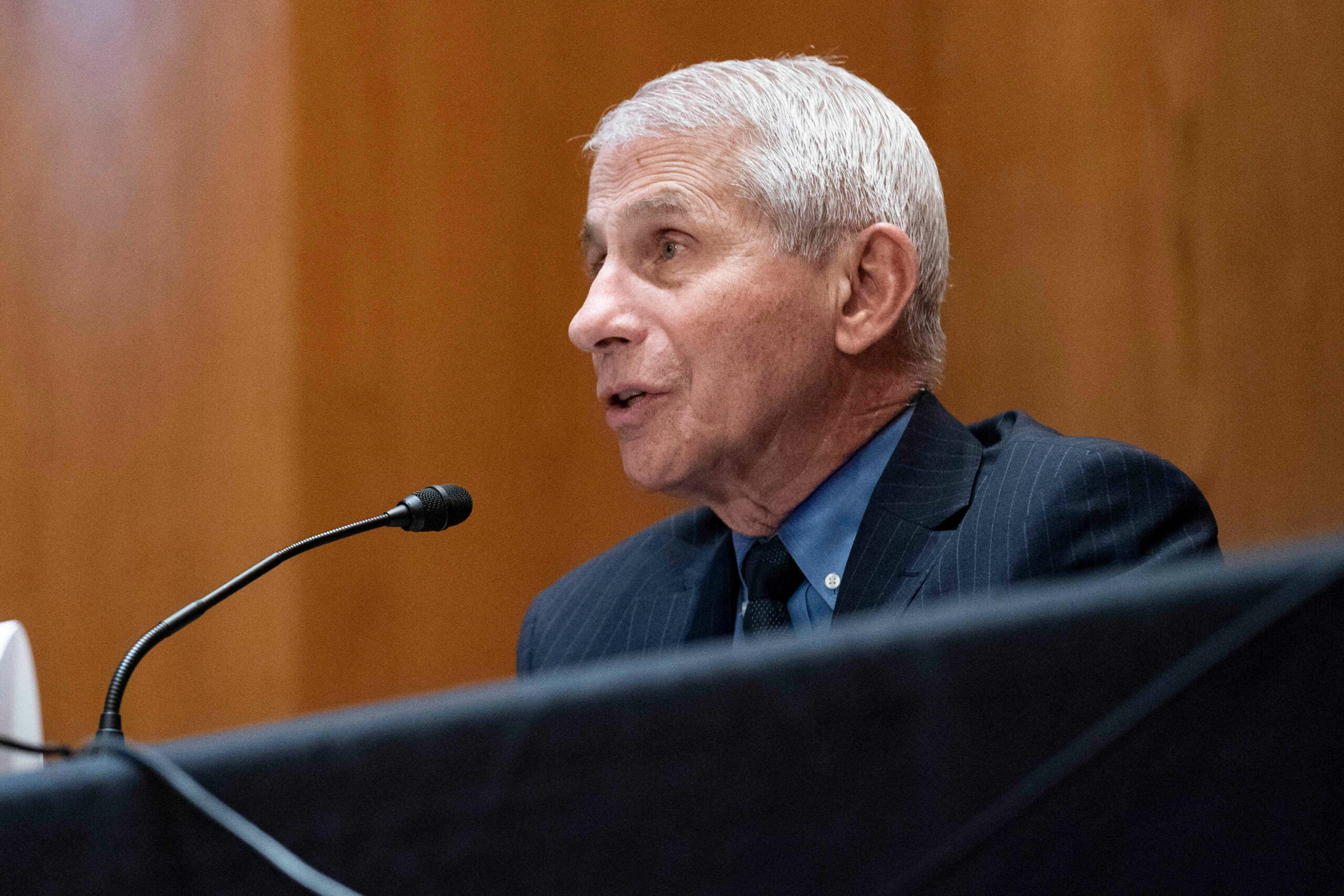 Republicans name for Fauci’s termination over shifting place on Wuhan lab funding