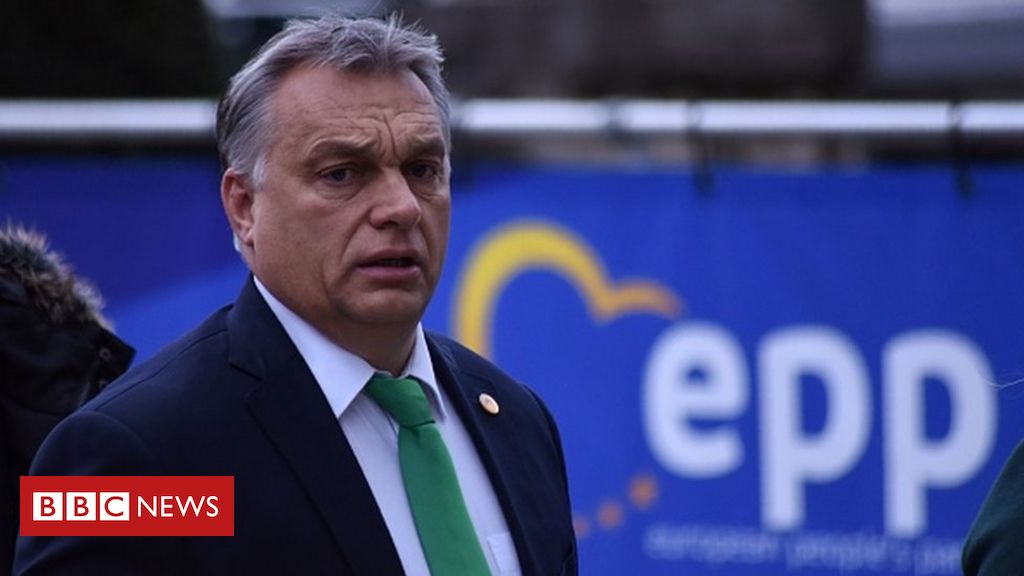 Viktor Orban: No 10 criticises Hungarian PM forward of Boris Johnson talks