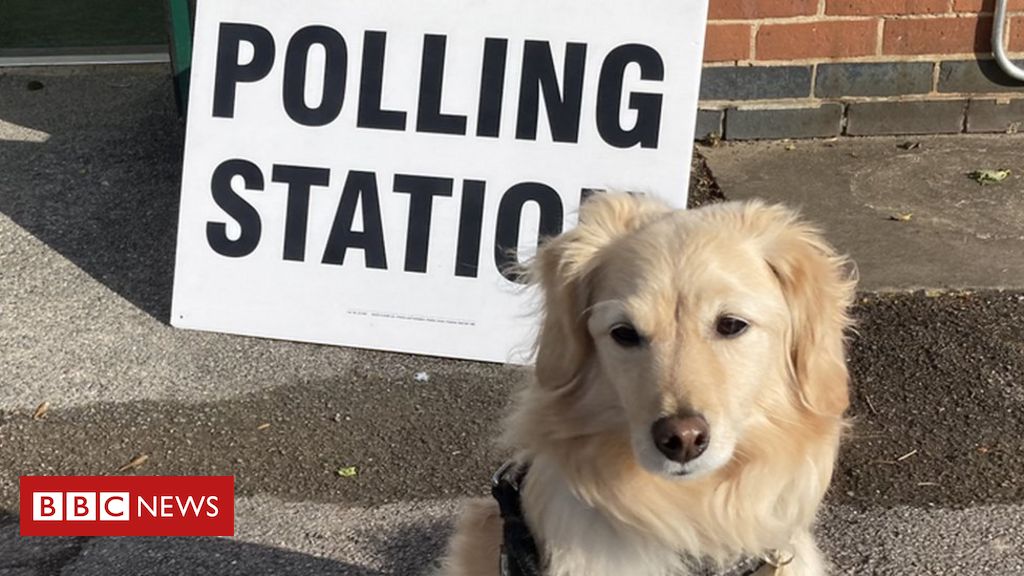 Elections 2021: Canines at polling stations