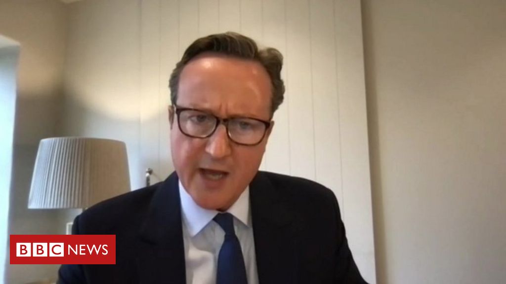 David Cameron: I used to be paid much more at Greensill than as PM
