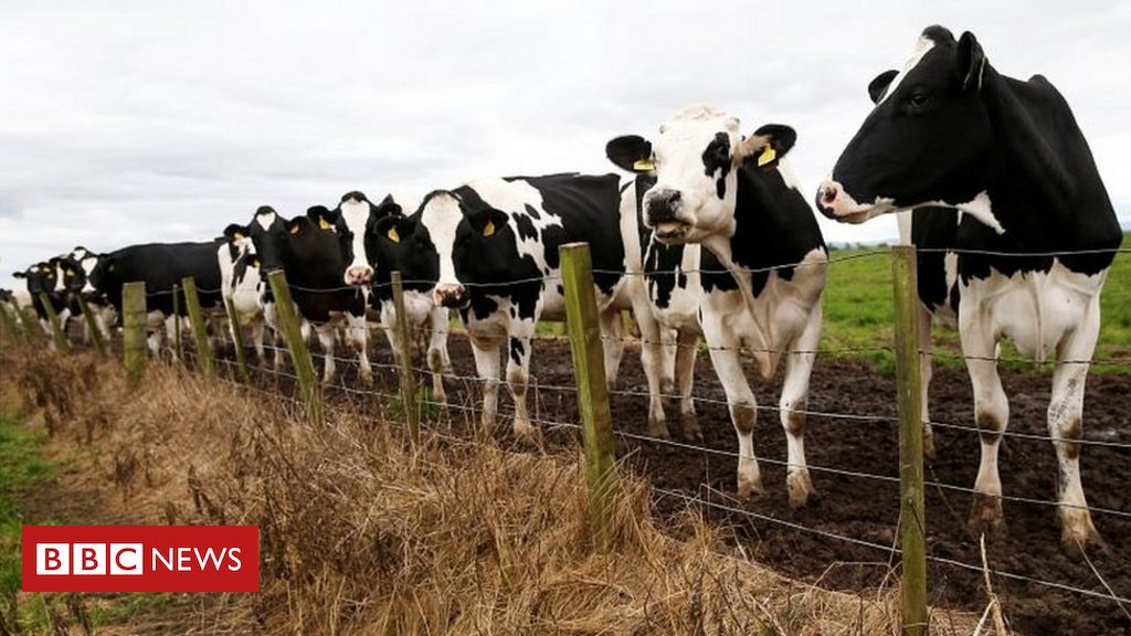 Cupboard 'united' over commerce cope with Australia