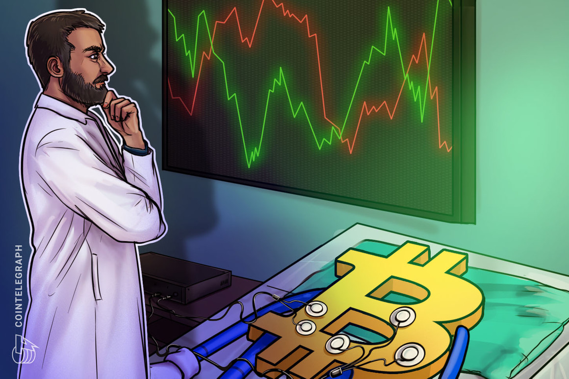 Bitcoin can nonetheless drop to $20Okay however holding stays profitable technique, information reveals