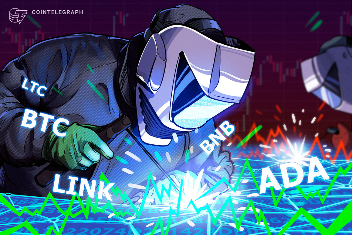 BTC, BNB, ADA, LTC, LINK