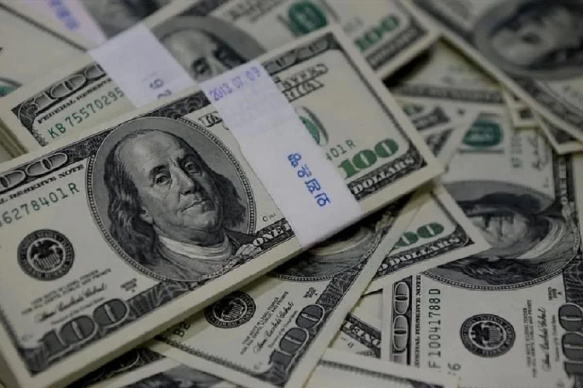 Foreign exchange Reserves Surge by $32.29 Billion in Six Months: Reserve Financial institution of India
