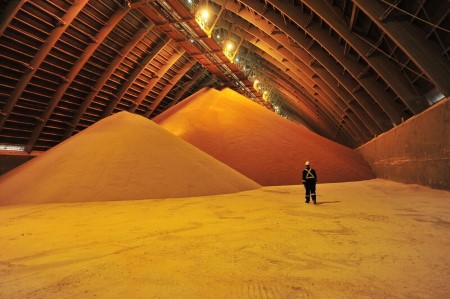 Nutrien to maintain concentrate on potash value over most gross sales – new CEO