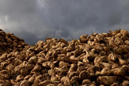 From farm to face as World Bioenergies turns waste to make-up