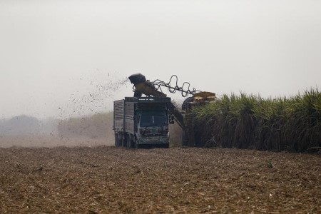 Sugar provide stability heading to surplus regardless of fall in Brazil, says Datagro