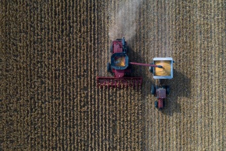 COLUMN-CBOT corn futures overpower soybeans as provide fears smolder -Braun
