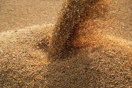 GRAINS-Soy futures attain highest since 2012 on provide woes; vegoils surge