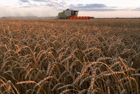 Sovecon ups its forecast for Russia’s 2021 wheat crop