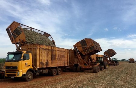 Brazil’s govt sees sugar output falling 6.4% to 35.eight mln T