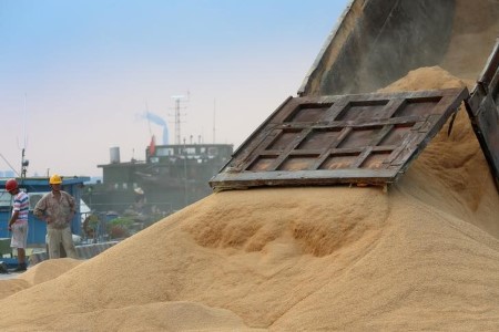 China’s April soybean imports from Brazil surge vs earlier month